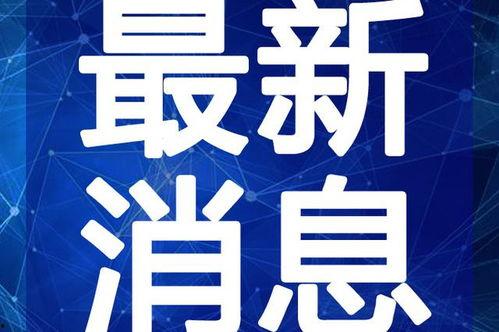 飞哥奶茶爆料视频大全最新,揭秘网红奶茶背后的秘密与潮流趋势