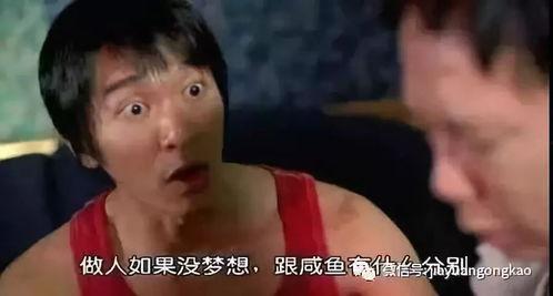 当咸鱼明星,从低谷到巅峰的华丽蜕变