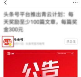 头条私信提示不在线,揭秘不在线状态下的神秘互动