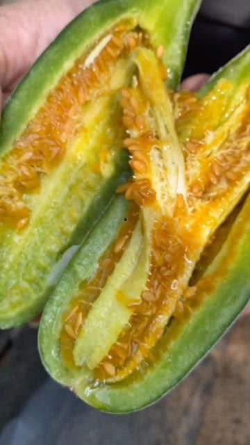 小黄吃瓜网站,揭秘娱乐圈幕后故事，带你领略明星真实生活