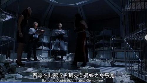 美剧圣域在线观看,探寻神秘圣地的冒险之旅，在线观看开启奇幻之旅