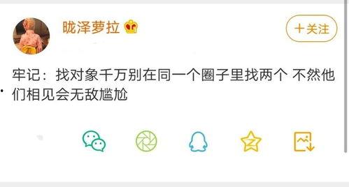 九尾一诺吃瓜,揭秘娱乐圈的瓜田秘闻