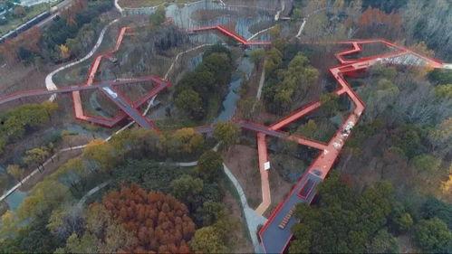 亳州南湖网红打卡,网红打卡地，水韵风光醉人心