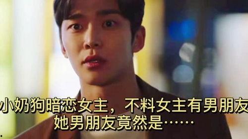 男主暗恋女主明星,男主的明星女神情缘