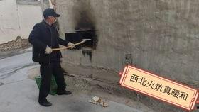 盖州网红村长叫什么,引领乡村振兴的“新农人”风采