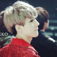 韩国女明星头像男动漫,韩国女明星头像的奇幻变身