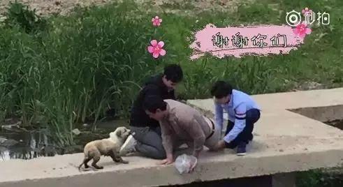 南京头条学生落水视频,紧急救援与生命至上