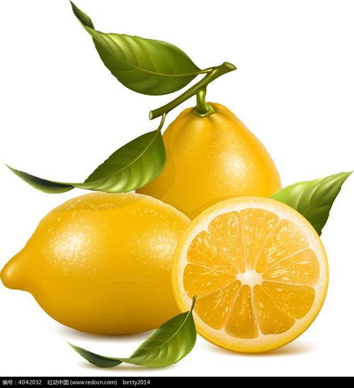 柠檬电力网红,揭秘电力行业新势力