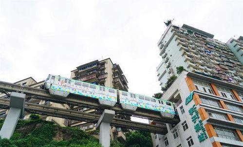 重庆大龙山网红打卡地点,网红打卡地，城市绿肺中的时尚秘境