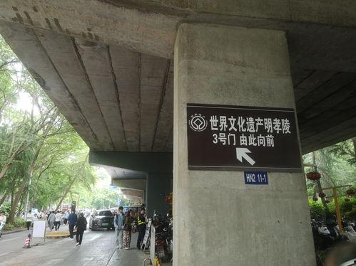 南京苜蓿园网红打卡地点,网红打卡地的魅力时光