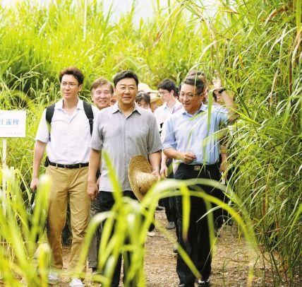 青草在线视频观看视频,探寻自然之美，感受生命律动